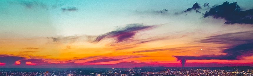 孟津茶虫网_孟津品茶